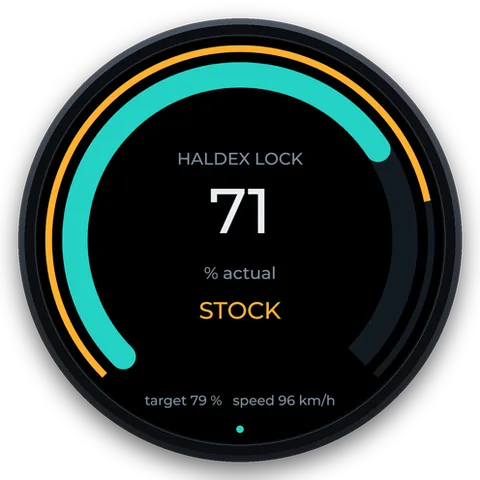 Haldex page: target and actual lock arcs
